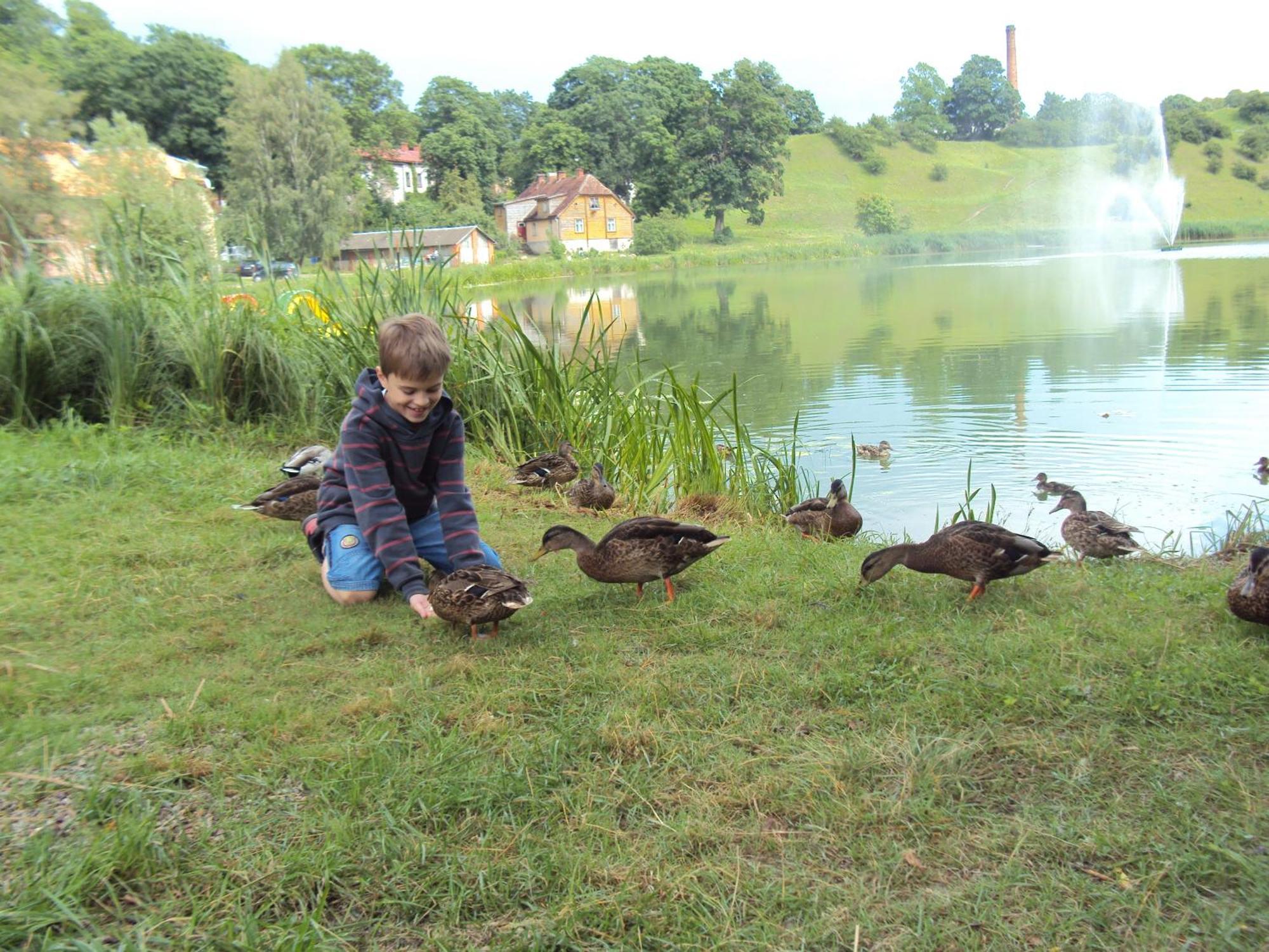 Saule Hotel Talsi Kültér fotó